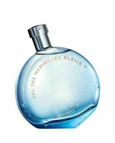 Eau Des Merveilles Bleue Hermes 3.4Oz Eau De Toilette Tester For Women