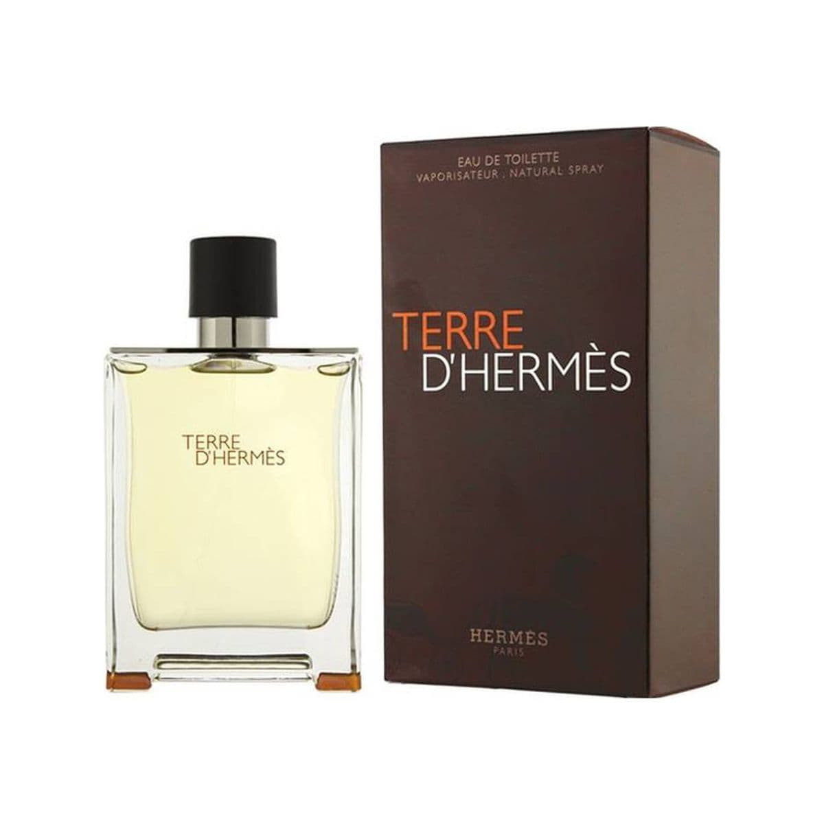 Terre D'Hermes For Men