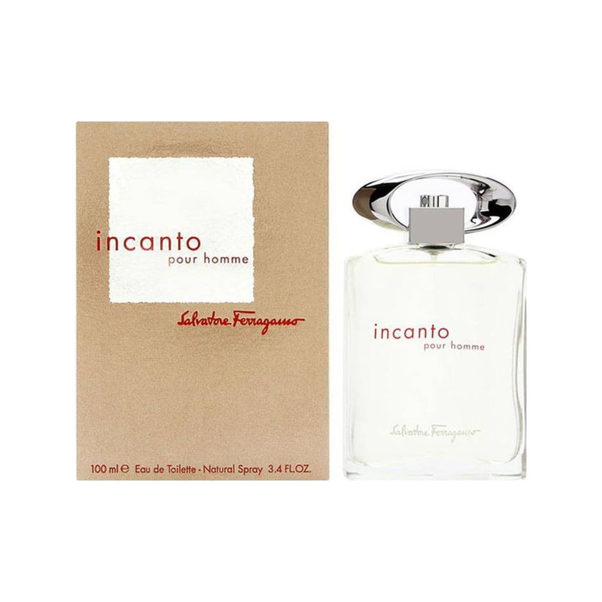 Incanto Pour Homme Eau De Toilette For Men